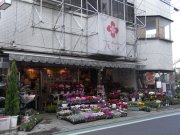 「花ごころ」　（埼玉県狭山市）の花屋店舗写真1